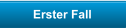 Erster Fall